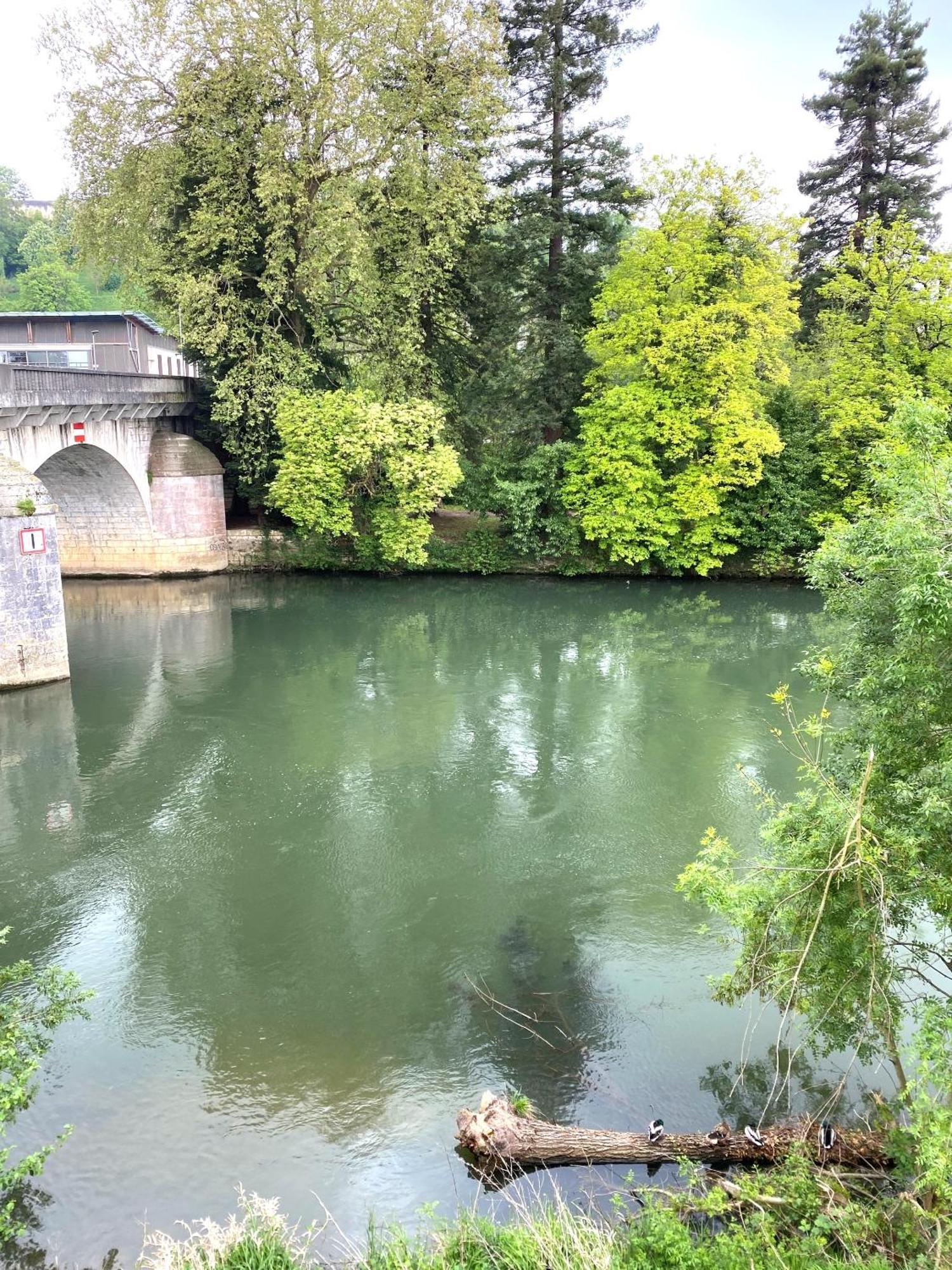 Confortable T2 Sur Les Rives De La Charente Angoulême Exterior foto